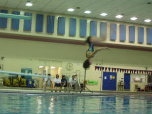 chs_swimteam1333.jpg