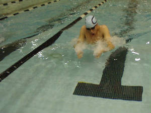 chsswimteam1216.jpg