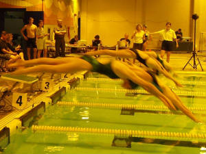 chsswimteam56541.jpg