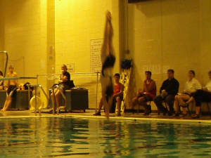 chsswimteam56544.jpg
